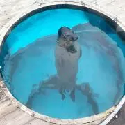 もっともるの画像