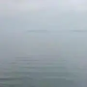 たばすこの画像