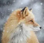 Mack様専用 浜田省吾さん ステッカー - メルカリ