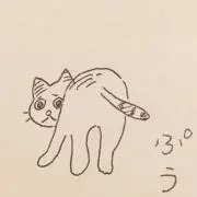 たま