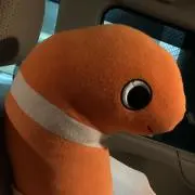 SHOWの画像
