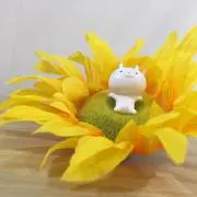 raiの画像