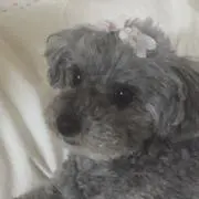 くつきの画像