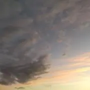 DAIの画像