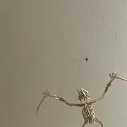。の画像