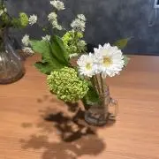 mamaの画像