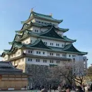 しんぺいの画像