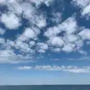 あの画像