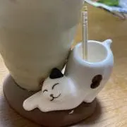 ゆうこりんこの画像