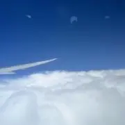 こここの画像