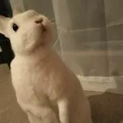 yamatoプロフを確認して下さいの画像