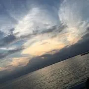 権左衛門