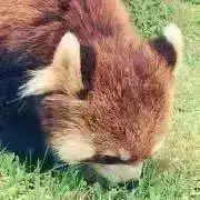 ちょも。プロフ必読の画像