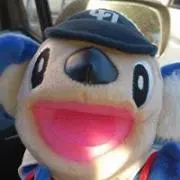 Say