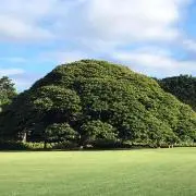 Mahalo