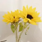 AIの画像