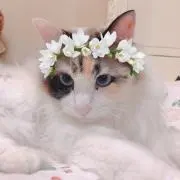 miiiiiiiiiiiiiii