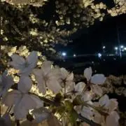のりこの画像