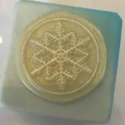 もみじの画像