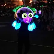 蓮の画像