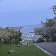 さくらもち
