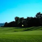 わんだー