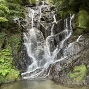 いひまるの画像