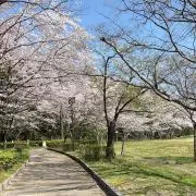 tokiの画像