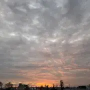 購入前コメント下さい‼︎の画像