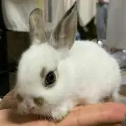彩和99