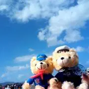 Ayaの画像