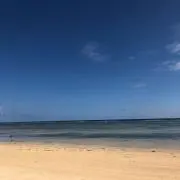 hola amigoの画像