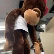 めるこの画像