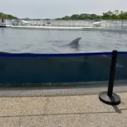 だんご