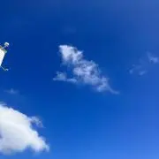 パバンの画像