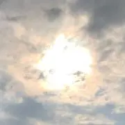 みかんの画像