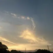 ぴまの画像