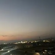 リボンちゃんの画像