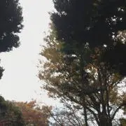 けー。の画像