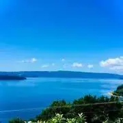Suicaの画像