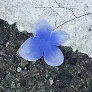 はせがわの画像