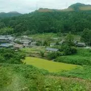 LoNi:の画像