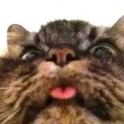 夢眠