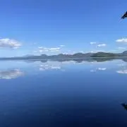 源