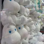 ぽむの画像