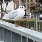 yuの画像