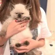 おやつ