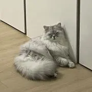 ohhoho