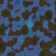 42の画像