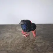 つぼみ。の画像
